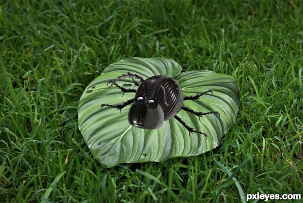 Creation of Black Beetle: Step 7