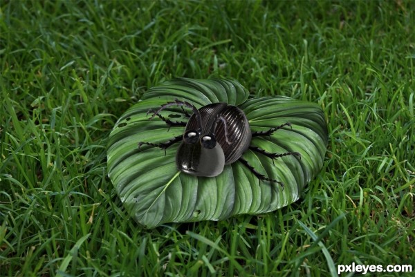 Creation of Black Beetle: Step 8