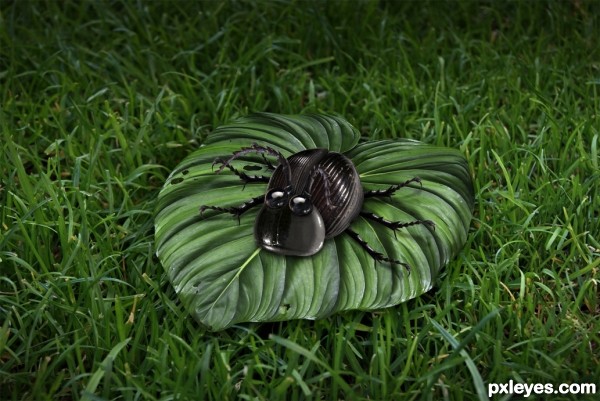 Creation of Black Beetle: Step 9