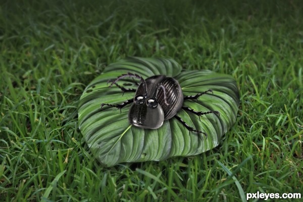 Creation of Black Beetle: Step 10
