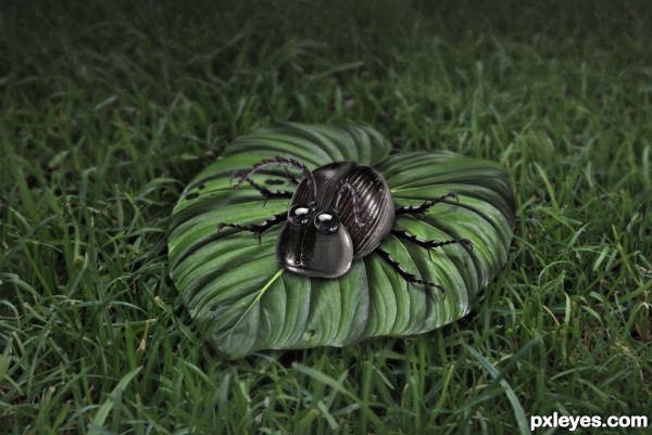 Creation of Black Beetle: Step 11