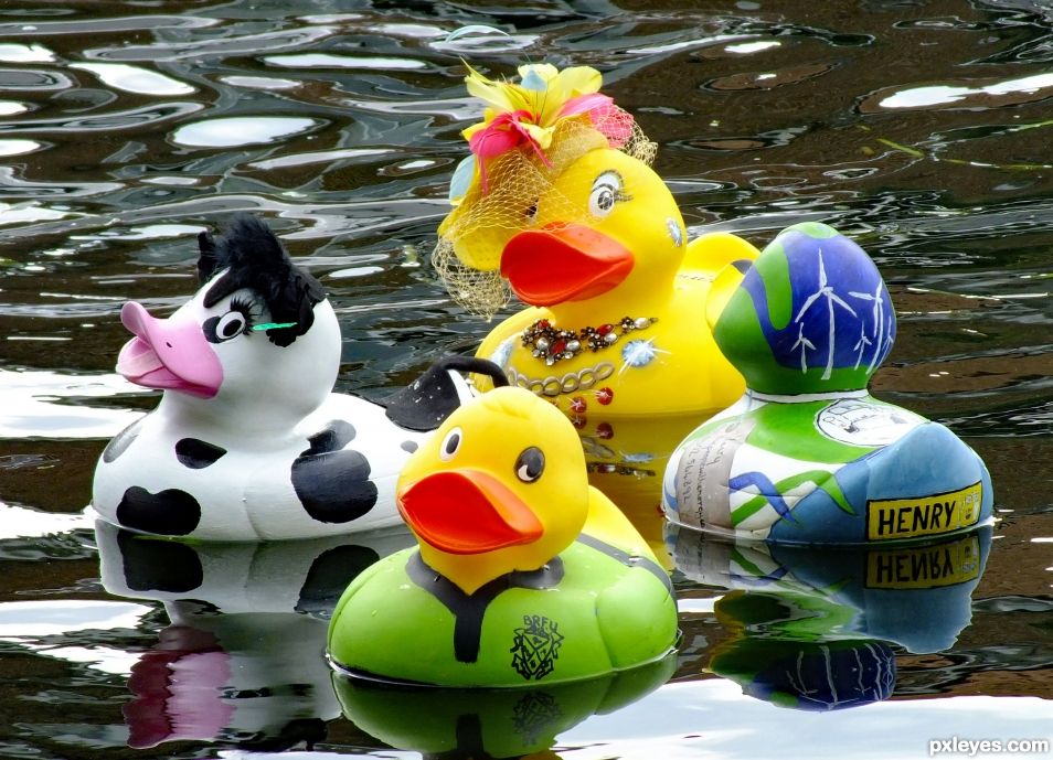 Toy Ducks