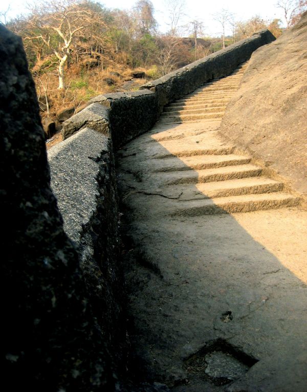 Rocky Tracks