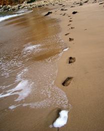 footprints