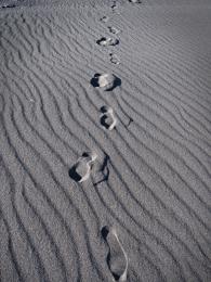 Black Sand Tracks