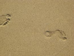 FootPrints