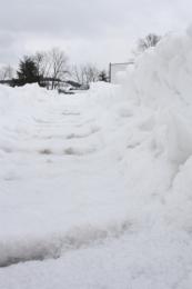 Tracks in the snow