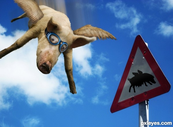 Swine Flew photoshop picture)