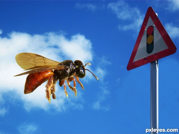 Creation of valentino bee : Step 3
