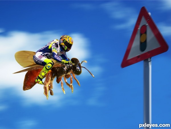 Creation of valentino bee : Step 5
