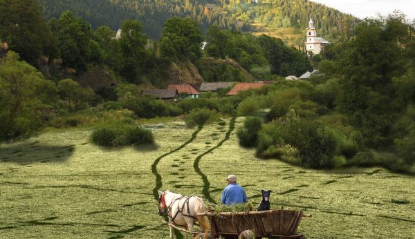 Countryside Ride