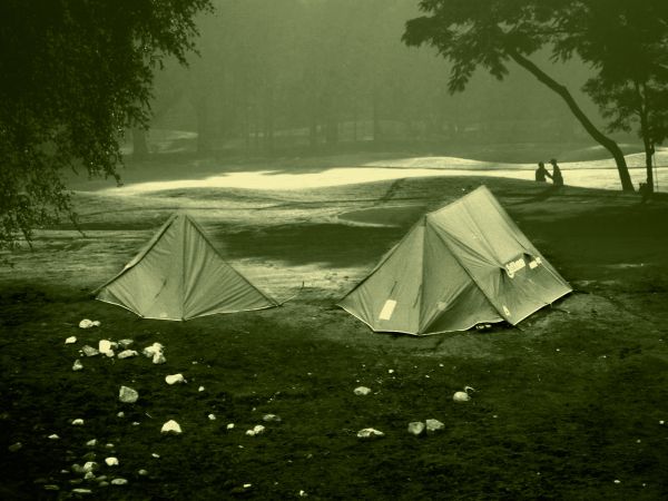 Tent View