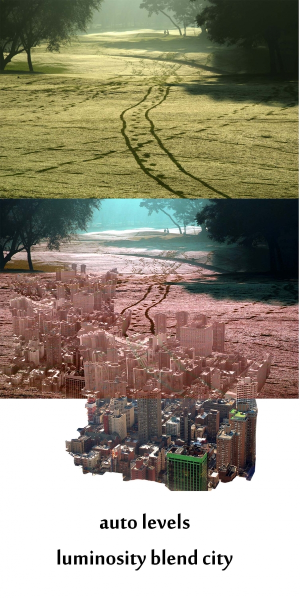 Creation of City in a Purple Box: Step 4
