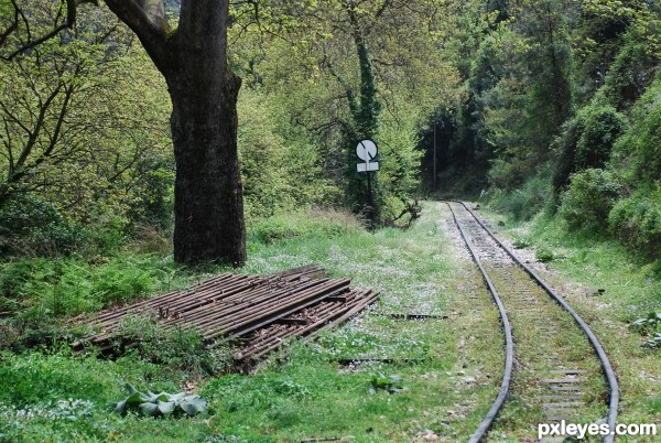 path to nature