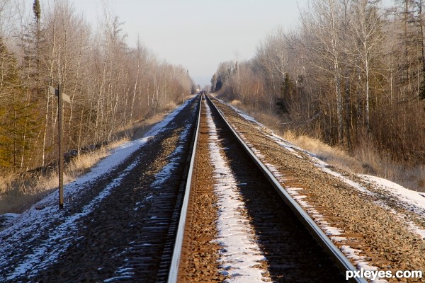 rails across Sak Zim Bog