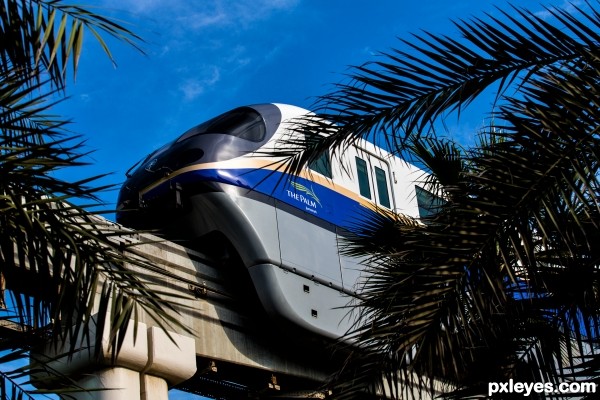 The Palm Monorail