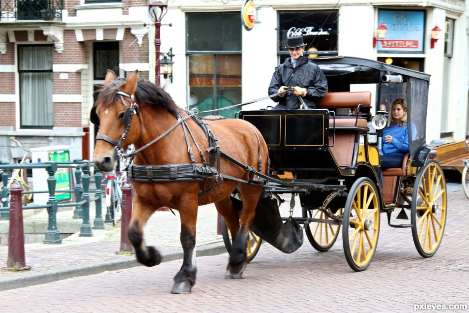 Trotting Down the Road