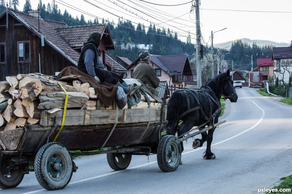 Wood Transport LTD