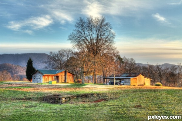 Morning Farm view