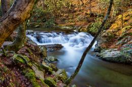 Smokey Mtn. River