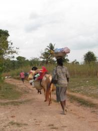 Working Women Picture