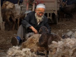 Animal Market, Silk Road , China