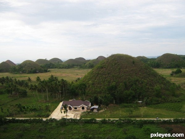 chocolate hills