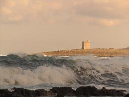 A Windy Maltese Day