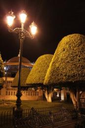 Leon Gto, Mexico Picture