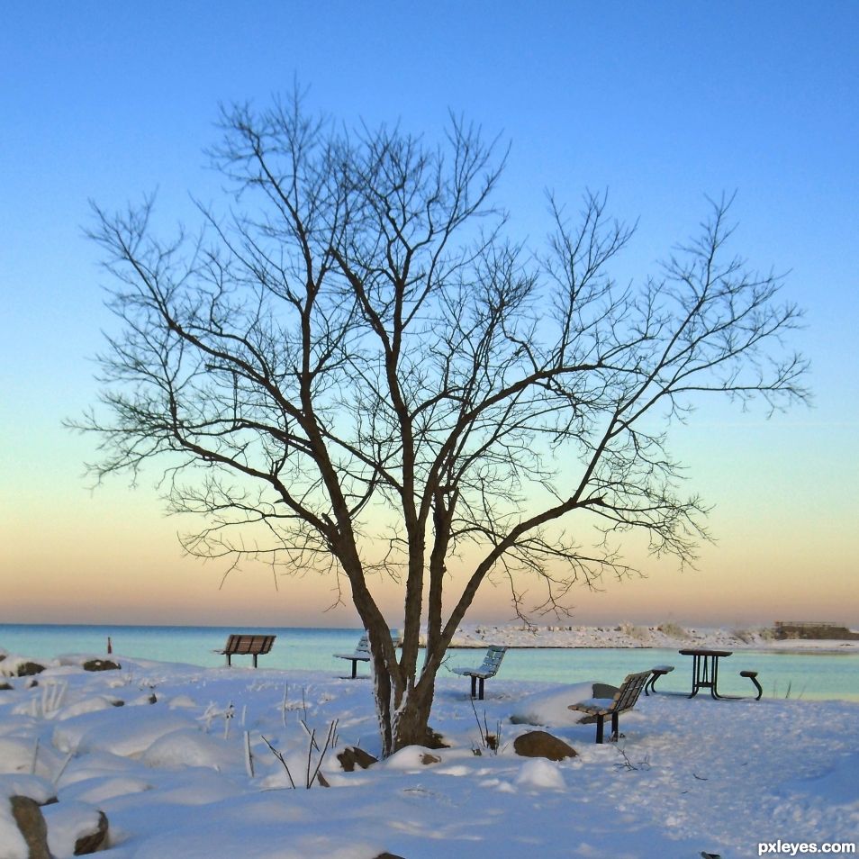 Winter dusk