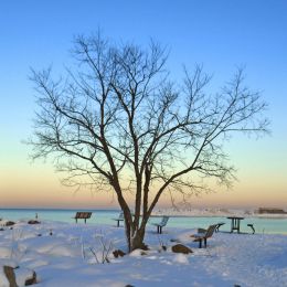 Winter dusk