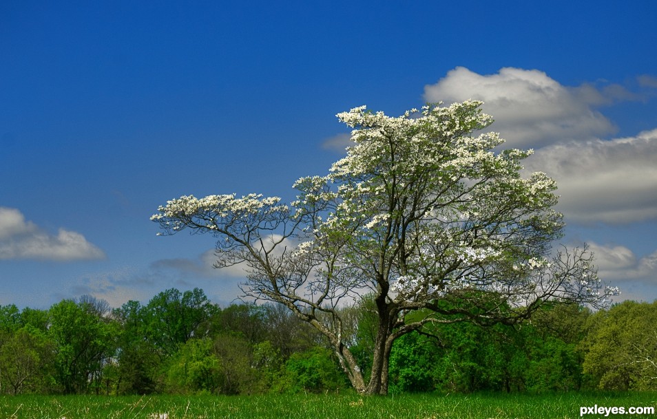 Valley Forge Park