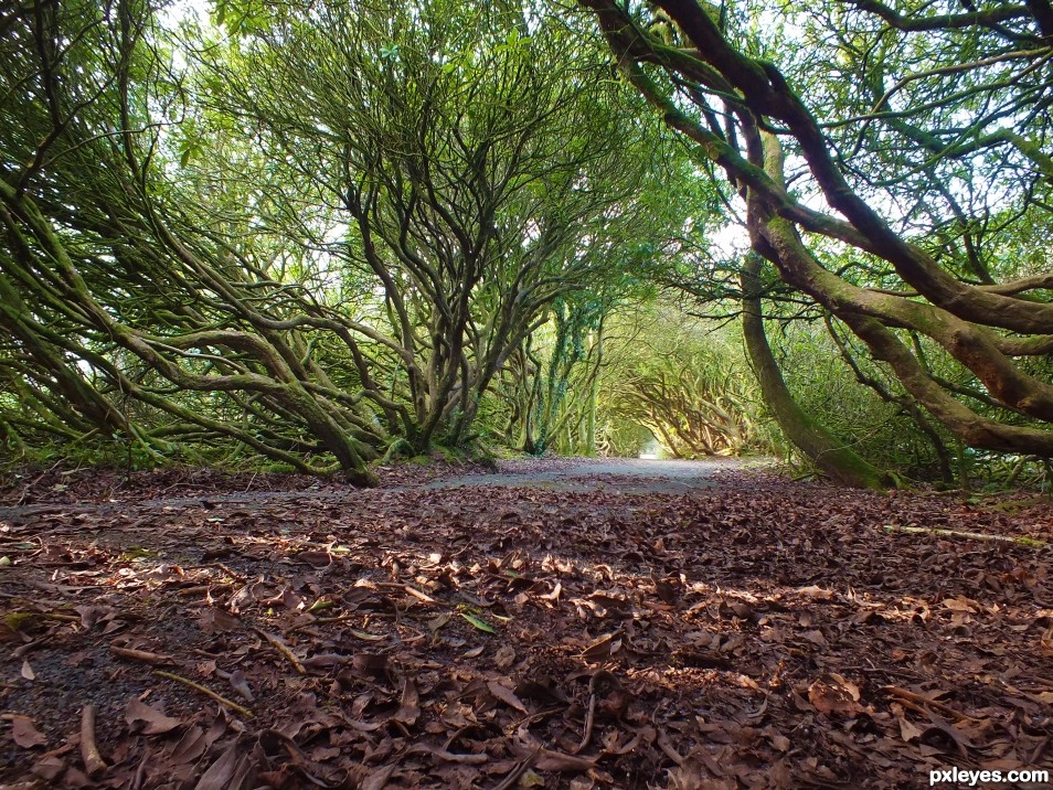 Craig y nos Castle Grounds