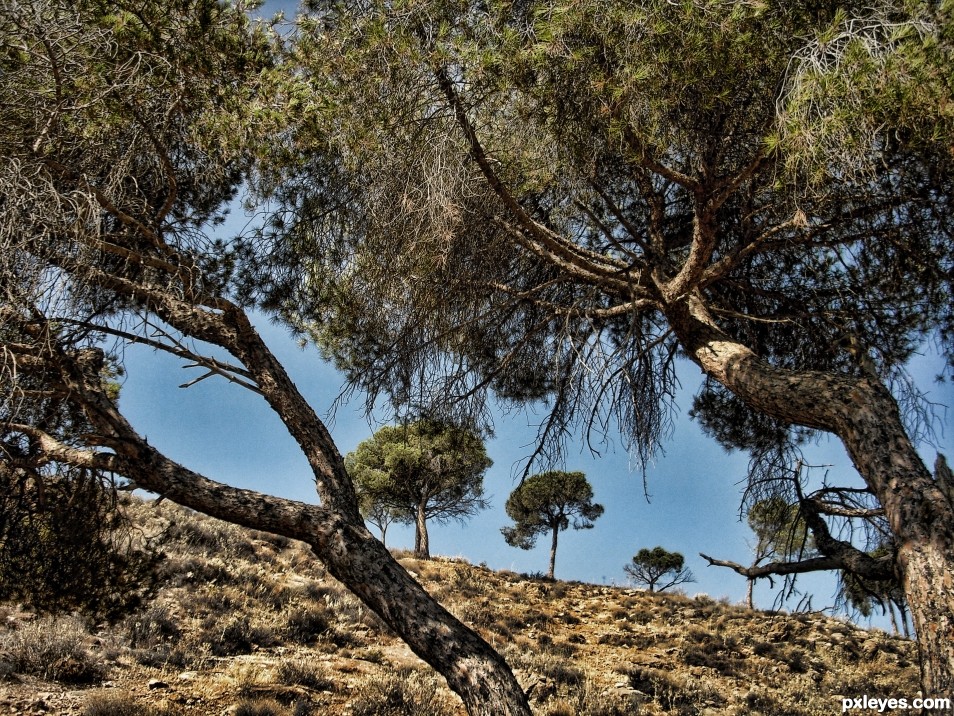 In the shade of the tree