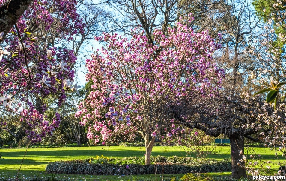 Spring is bustin out all over