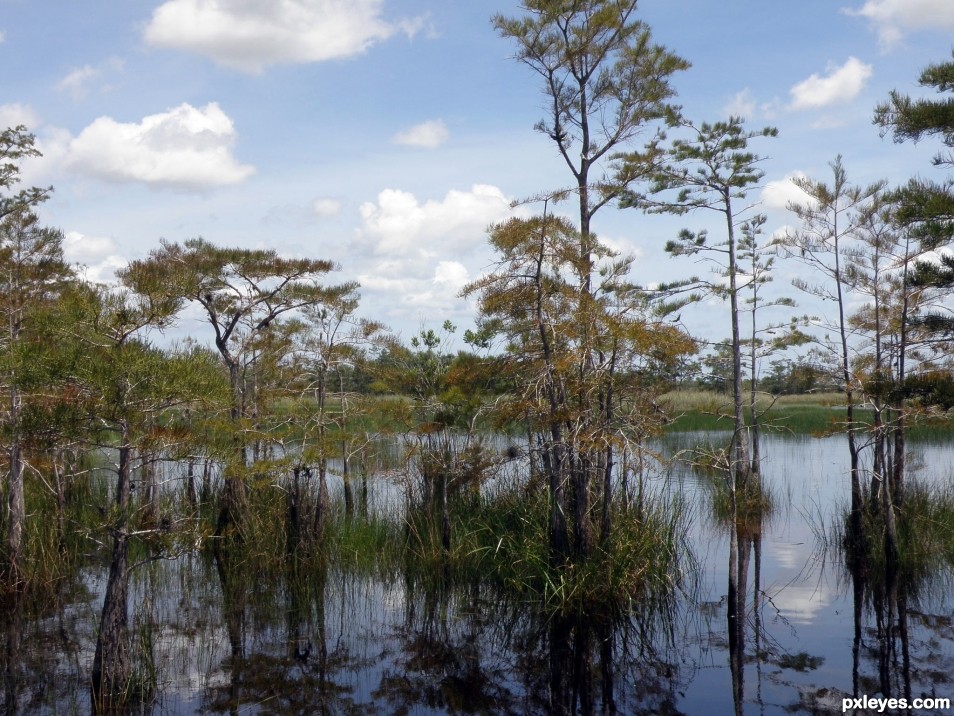 Grassy Waters