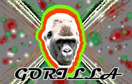 Flashy Gorilla Picture