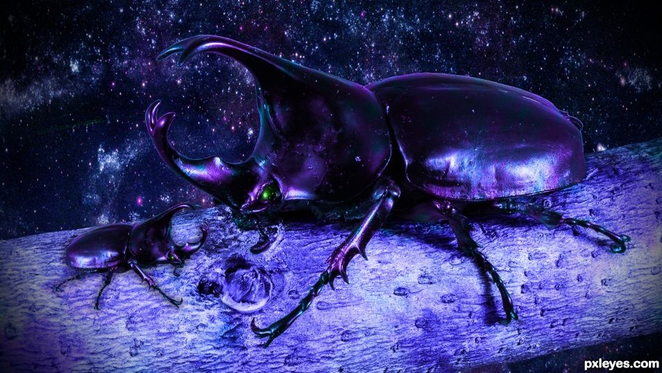 Cosmic Beetle