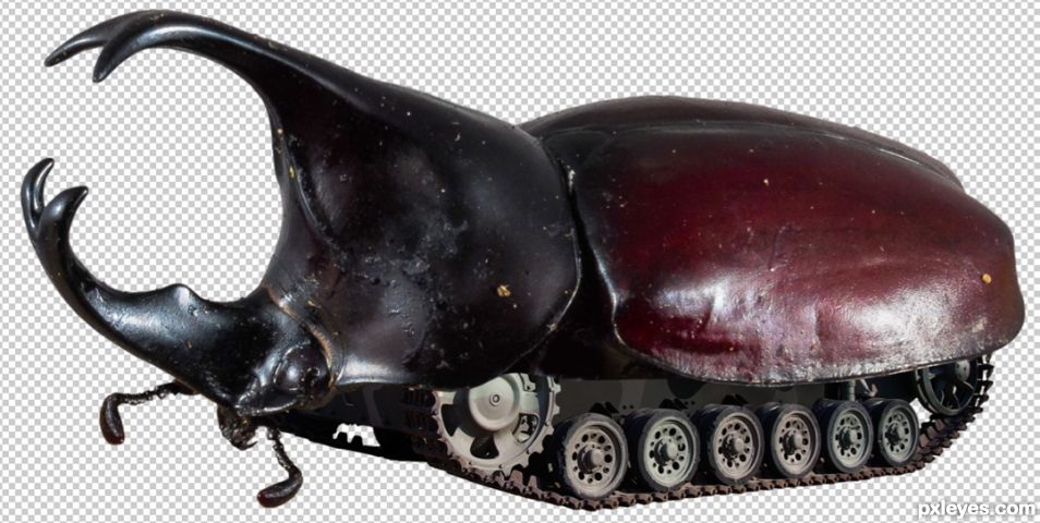 Creation of War bug: Step 1