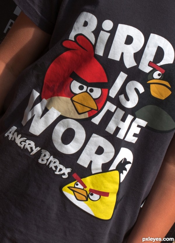 Angry Birds