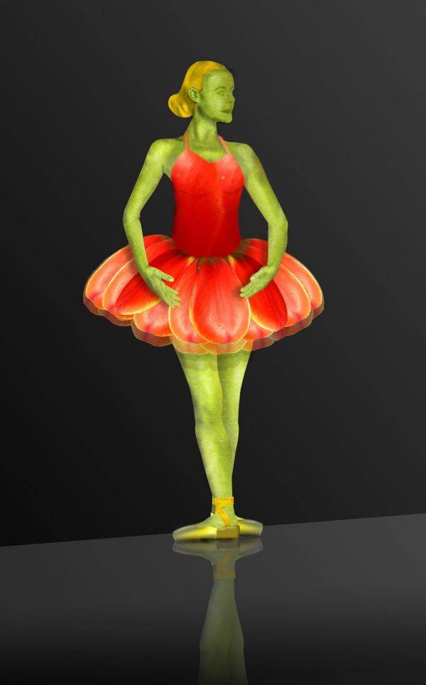 Creation of Tulip Ballerina: Final Result