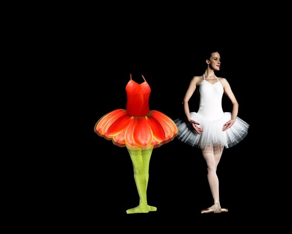 Creation of Tulip Ballerina: Step 6