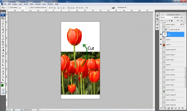 Creation of Ready to Love: Step 1