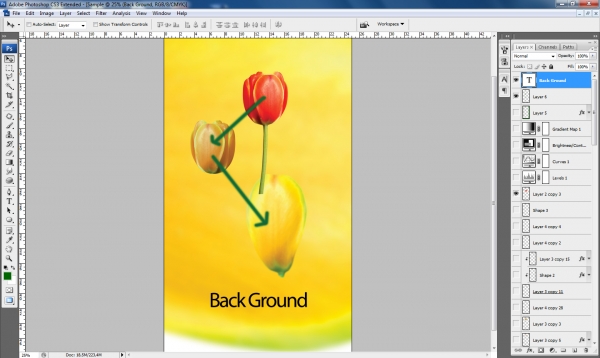 Creation of Ready to Love: Step 2