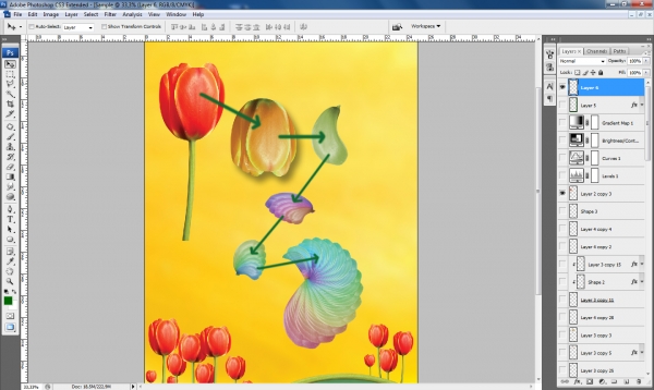 Creation of Ready to Love: Step 5