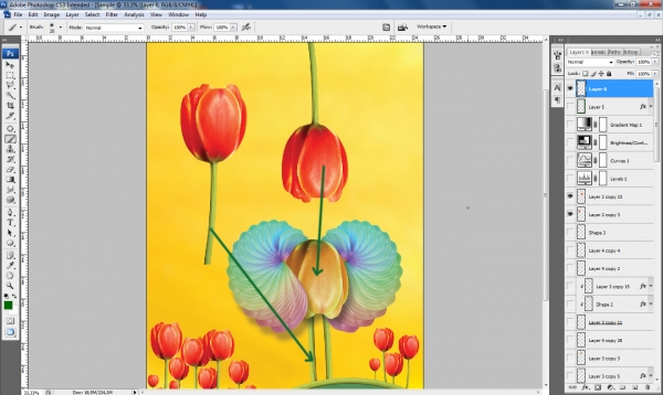 Creation of Ready to Love: Step 6