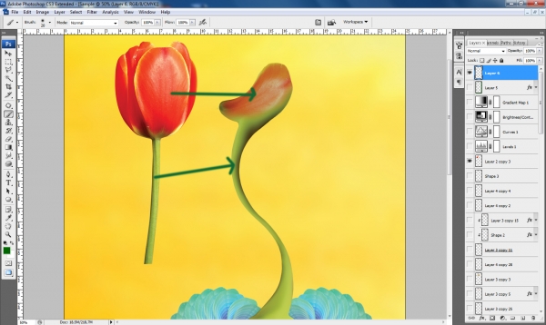 Creation of Ready to Love: Step 8
