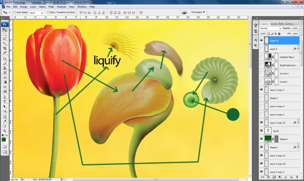 Creation of Ready to Love: Step 9