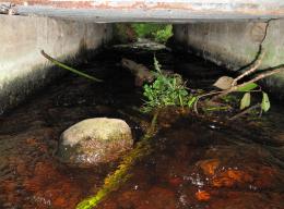 Tunnel Debris