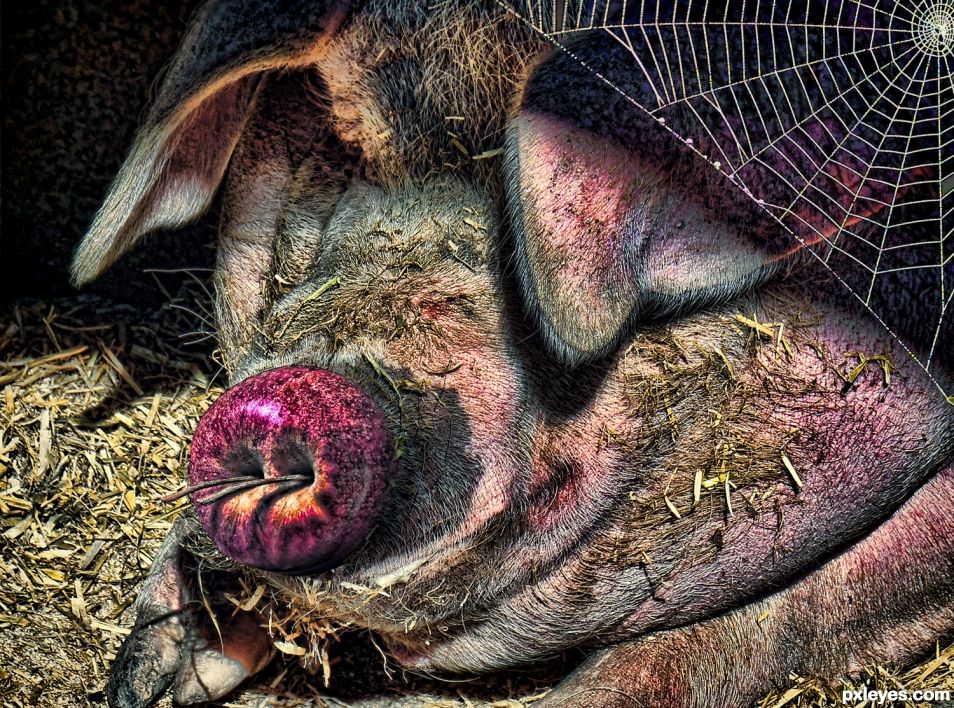 Wilbur Apple Nosed Some Pig